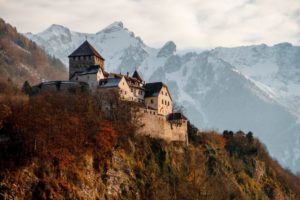 castle on mountain surrounded by trees