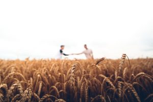 two persons standing on wheat field