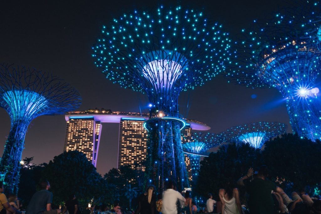 people standing near blue lighted christmas tree during nighttime