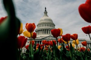 Capitol, USA