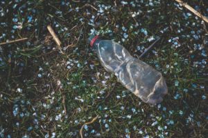 clear plastic bottle on green grass